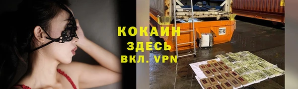 мяу мяу кристалл Няндома