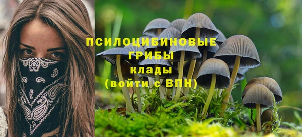 гидра Армянск