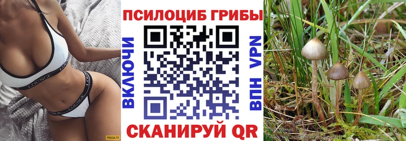 наркотики  Рассказово  Псилоцибиновые грибы прущие грибы 