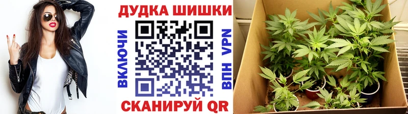 Шишки марихуана AK-47  маркетплейс официальный сайт  Рассказово 